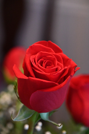 RLA_8338